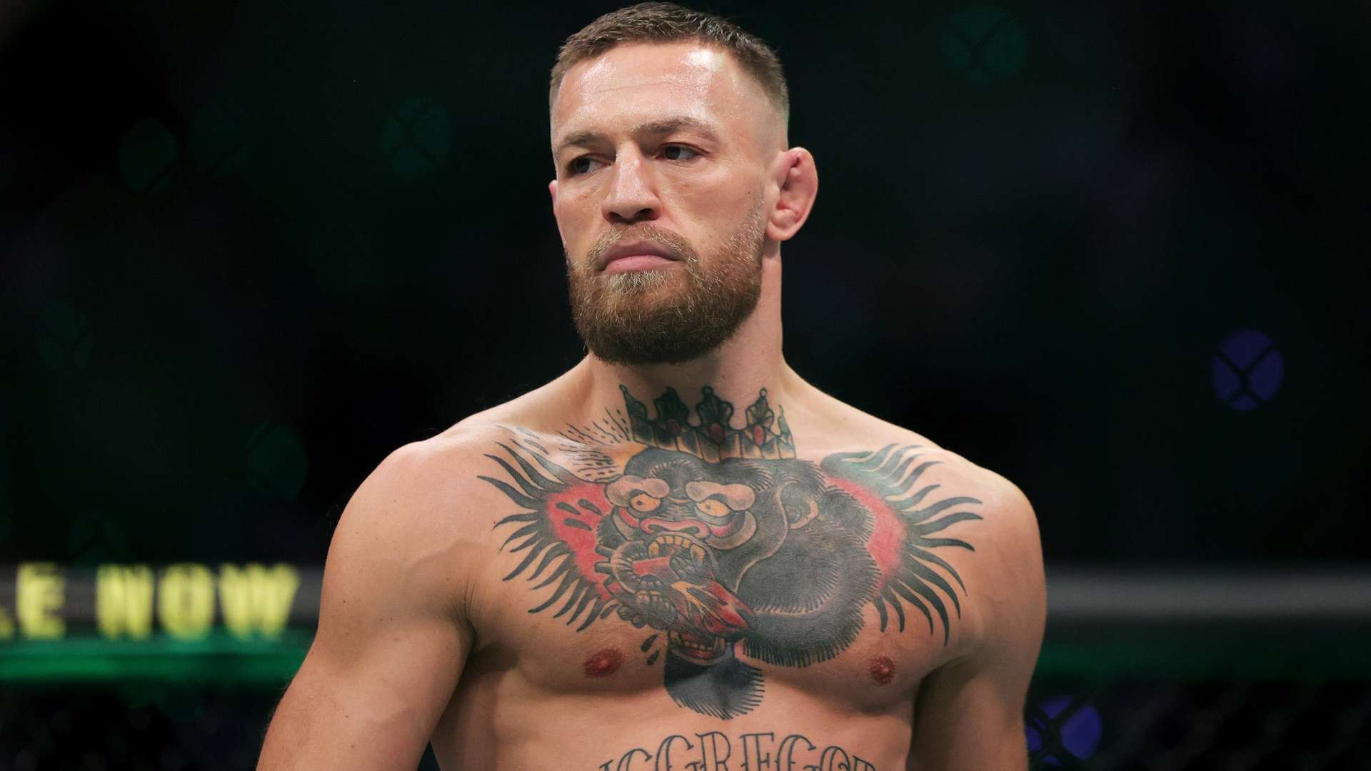 全球足球的 全球足球的